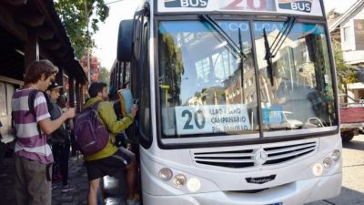 Más frecuencias, boletos subsidiados y nuevas tasas: el plan del municipio de Bariloche para el transporte urbano