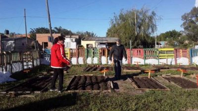 Santo Tomé: Crece en barrio Las Vegas el desarrollo de las huertas familiares y comunitarias