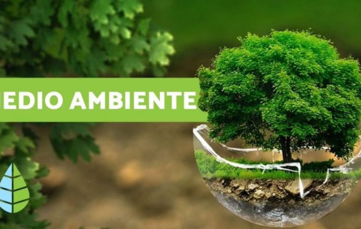 Mes del ambiente: cinco propuestas para poner manos en la tierra
