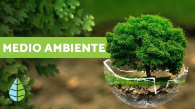 Mes del ambiente: cinco propuestas para poner manos en la tierra