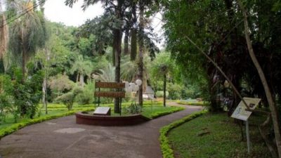 Proyecto Bioparque: se producen más de 10 mil plantines de especies nativas en el Jardín Botánico de Posadas