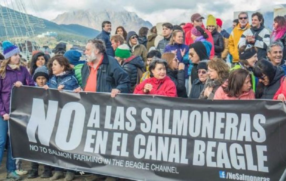 Una ley ambiental pionera para Tierra del Fuego 