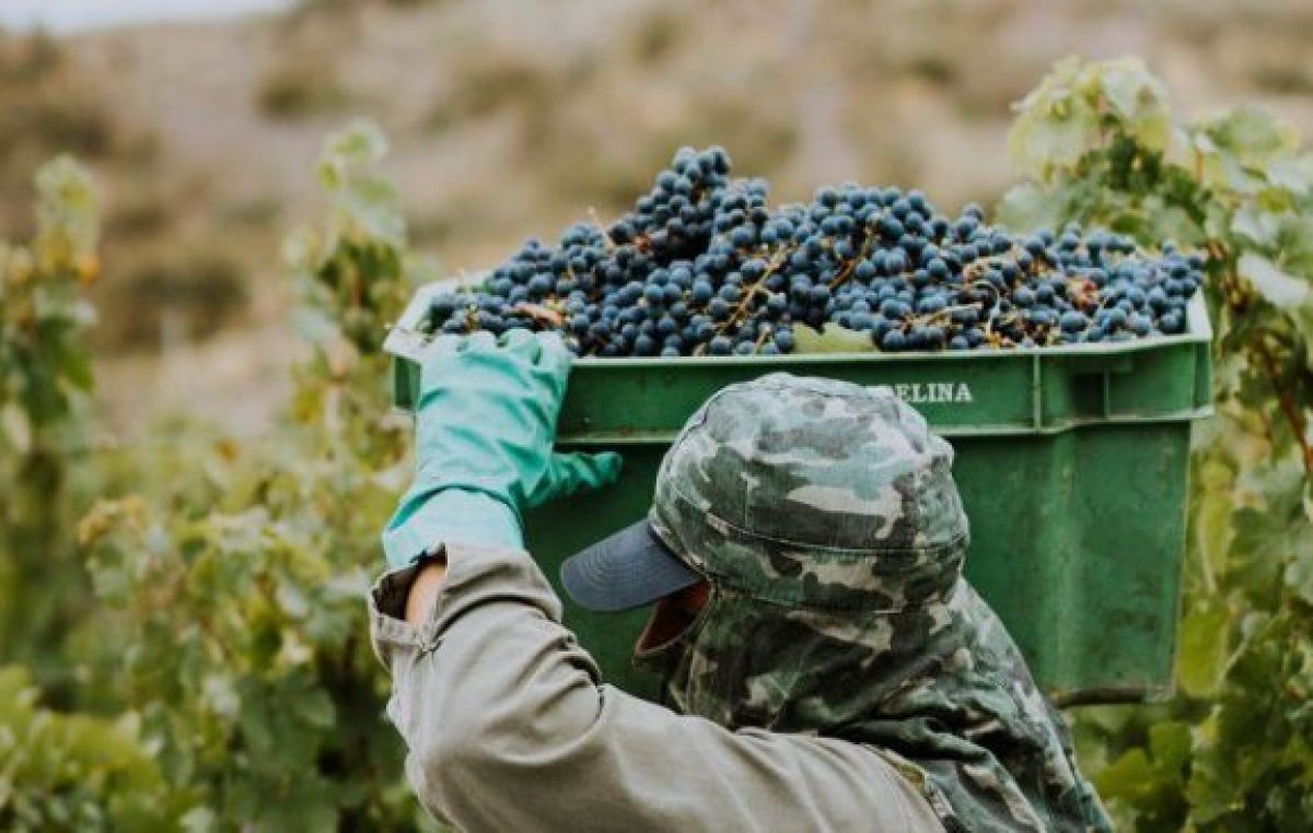 Los vinos argentinos generan más empleo y dólares por exportación que la soja