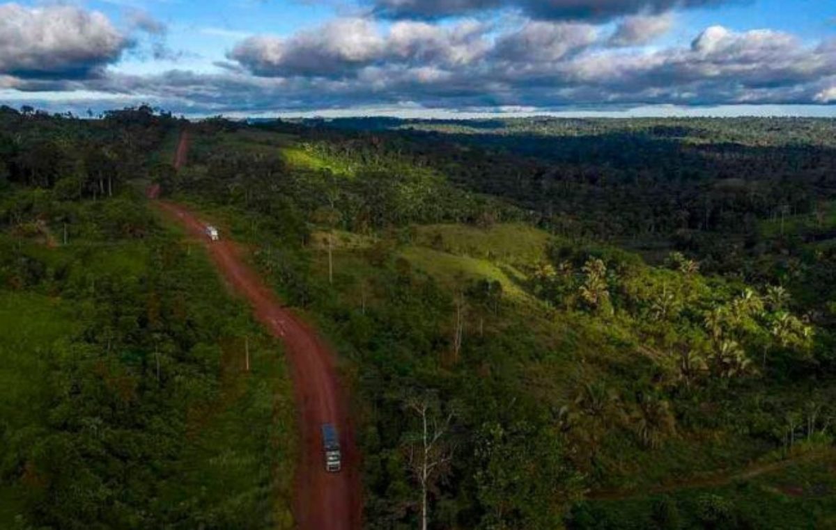 La tala convirtió a la selva amazónica en emisor de dióxido de carbono