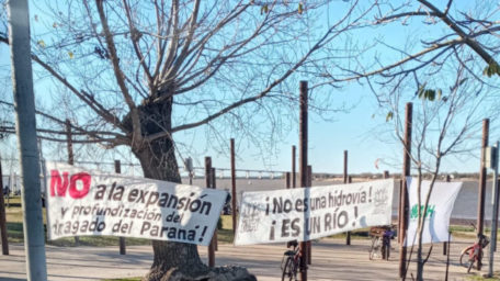 Cuidar el Paraná, cuidar humedales