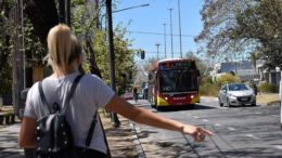 Conflicto en el transporte: ¿cuándo volverán a circular los colectivos en Santa Fe?