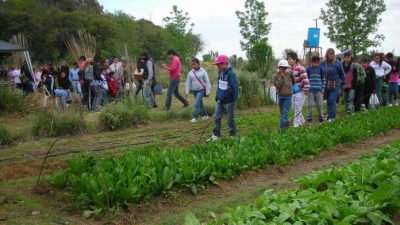 Santa Fe: Huerta Familiar ya produjo un ahorro de 500 millones de pesos