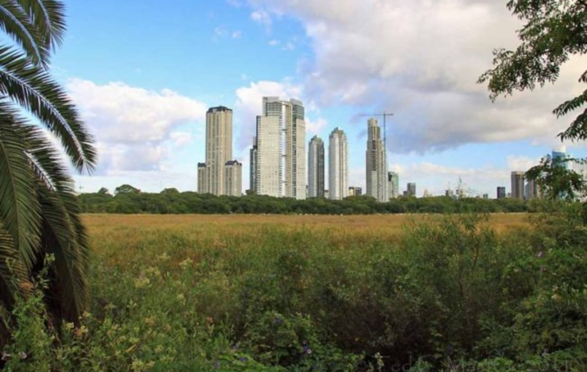 Rodríguez Larreta quiere avanzar con la construcción de torres de lujo en la Costanera Sur