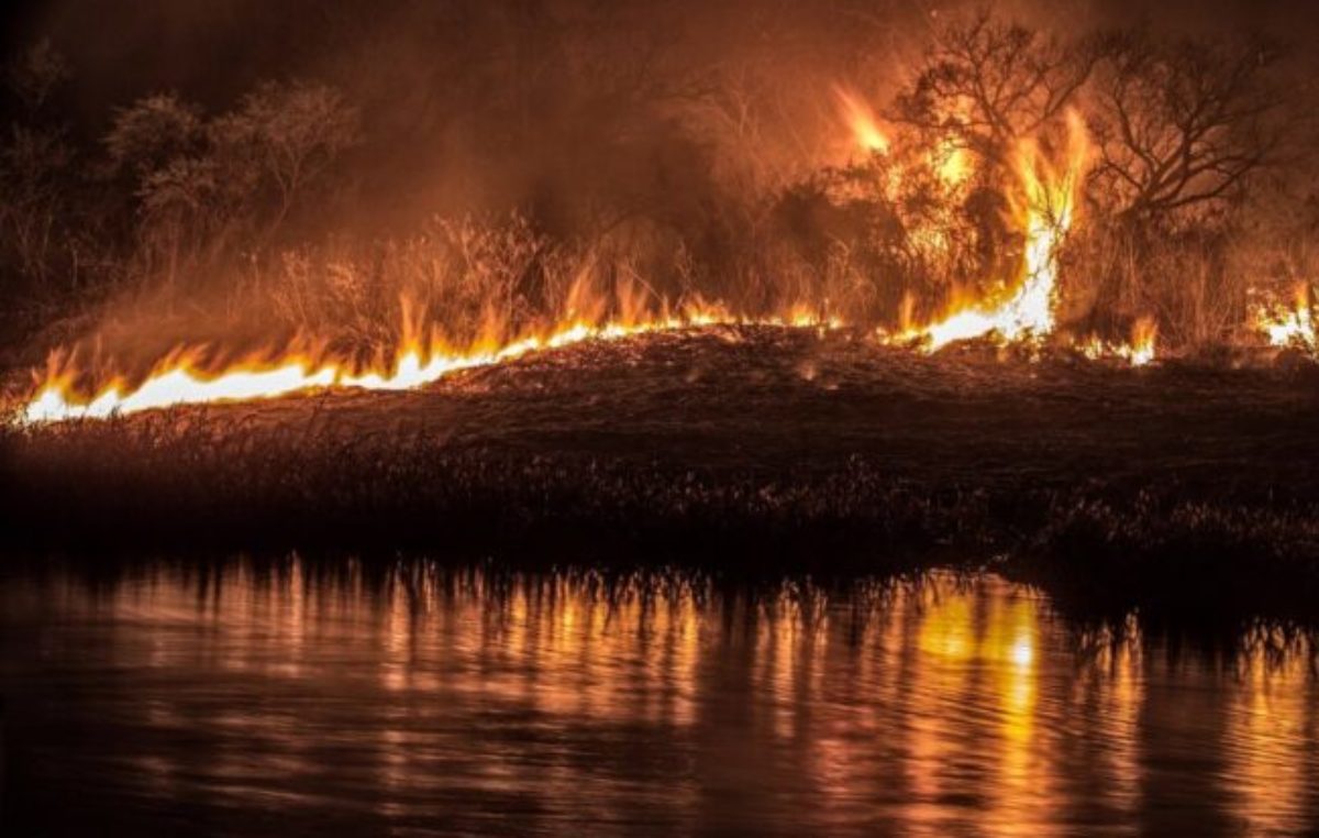 Incendios forestales en islas del delta del Paraná