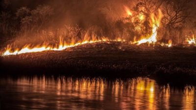 Incendios forestales en islas del delta del Paraná