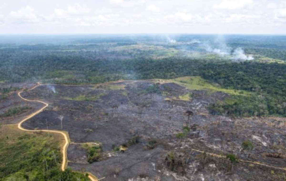 Brasil cada vez más seco: perdió 15% de su agua dulce en 30 años