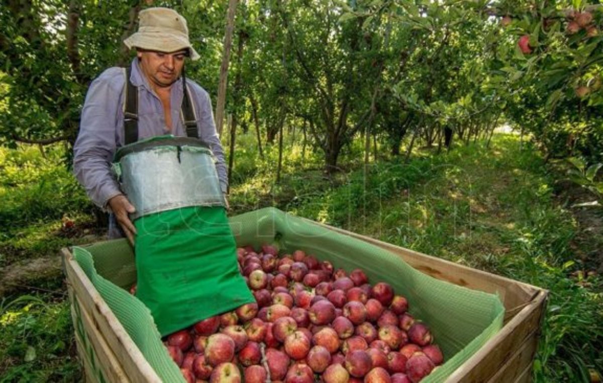 Zabaleta: «Beneficiarios de planes sociales podrán trabajar en la cosecha y mantener ambos»
