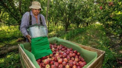 Zabaleta: «Beneficiarios de planes sociales podrán trabajar en la cosecha y mantener ambos»