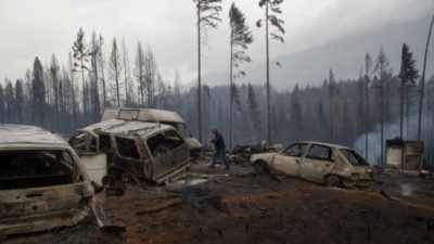 Comarca Andina: La AFIP instrumenta medidas de alivio para las zonas afectadas por incendios forestales