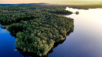 Brasil llega como villano ambiental y en busca de créditos para preservar la Amazonia