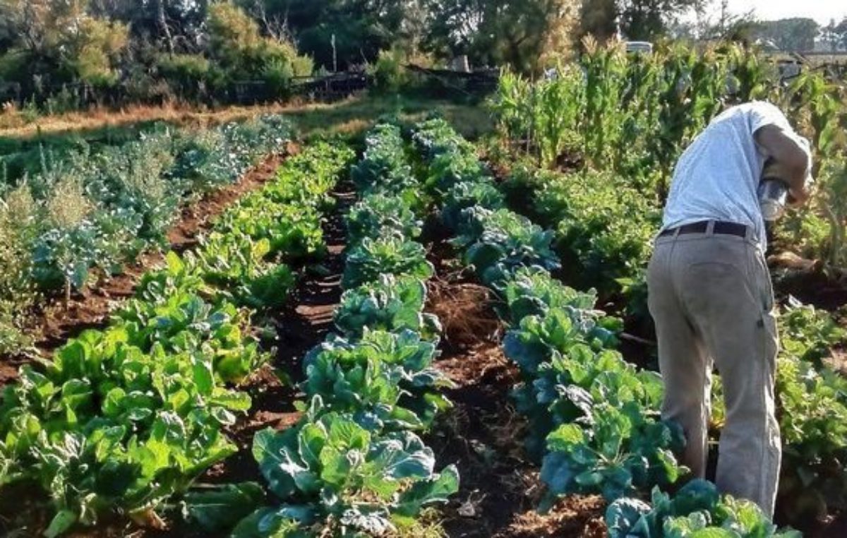 Santa Fe: Aprobaron una ordenanza de promoción de la agroecología