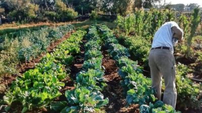 Santa Fe: Aprobaron una ordenanza de promoción de la agroecología