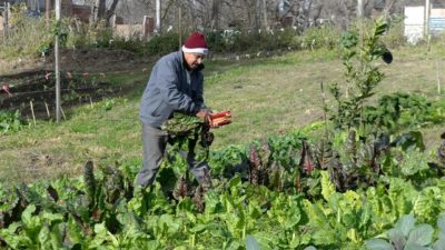 Cerró la Semana de la Agricultura Urbana: en Rosario habrá dos parques huerta más