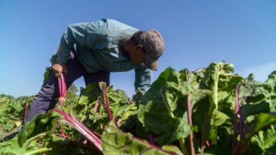 Un régimen que protege a la agricultura familiar