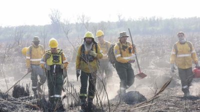 Combate de incendios en las islas: cuánto le cuesta a la provincia de Santa Fe cada operativo