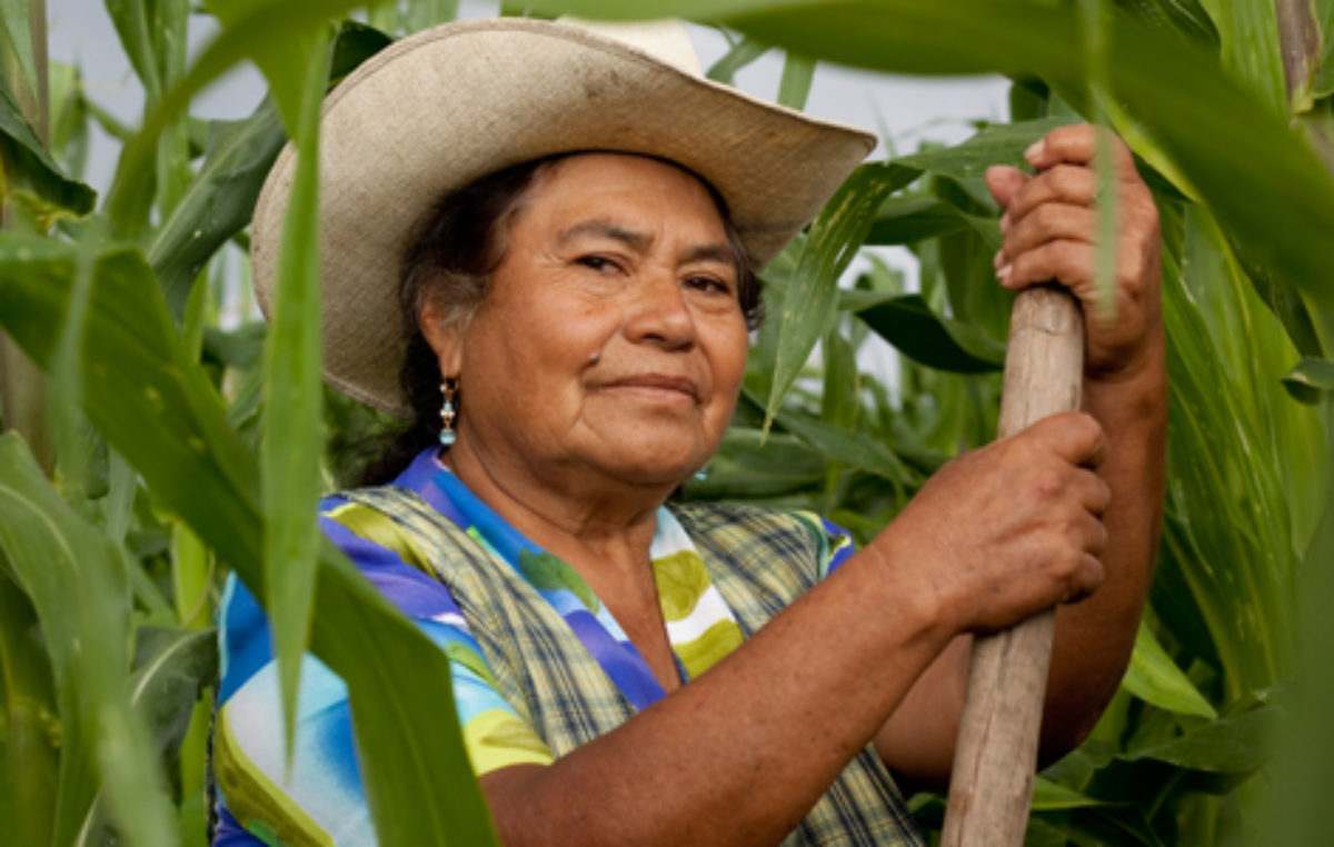 Mujeres campesinas denuncian el pobre acceso a la propiedad de la tierra