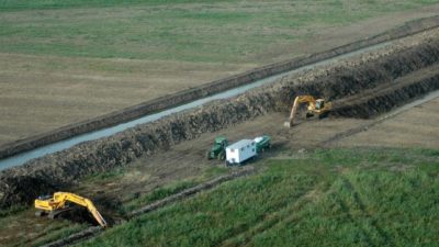 Villa Constitución: denuncian la puesta en venta de terrenos en área protegida del delta