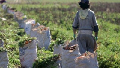 Mendoza: ¿Adónde van los niños durante la cosecha? Esperan alejar a más de 3.000 de los riesgos del campo