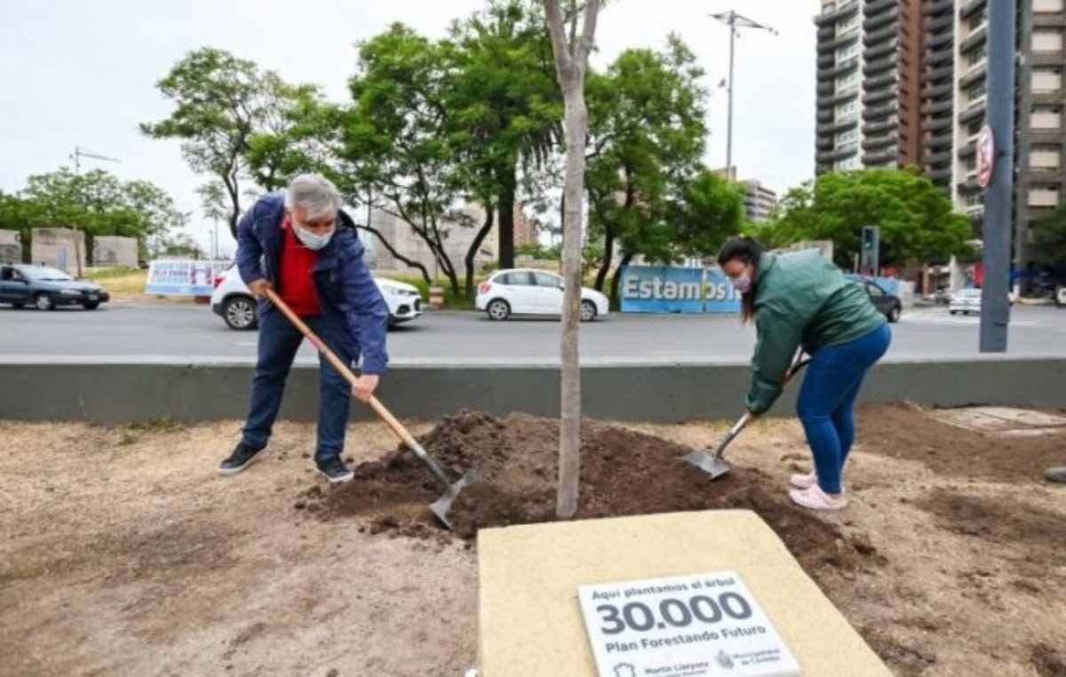 El plan municipal de Córdoba Forestando Futuro ya plantó 30.000 árboles