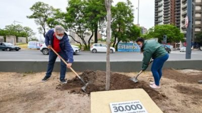 El plan municipal de Córdoba Forestando Futuro ya plantó 30.000 árboles