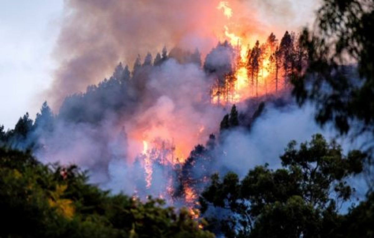 Ya son 6 mil las hectáreas de bosque nativo afectadas por el incendio en zona de Bariloche