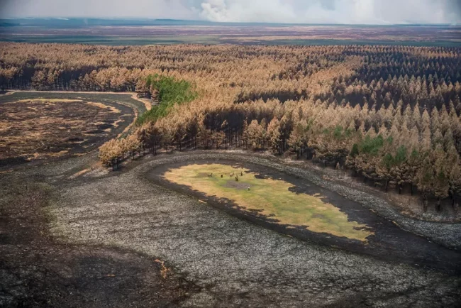 Los incendios quemaron el 40% del Parque Nacional Iberá: “De esto se sale”