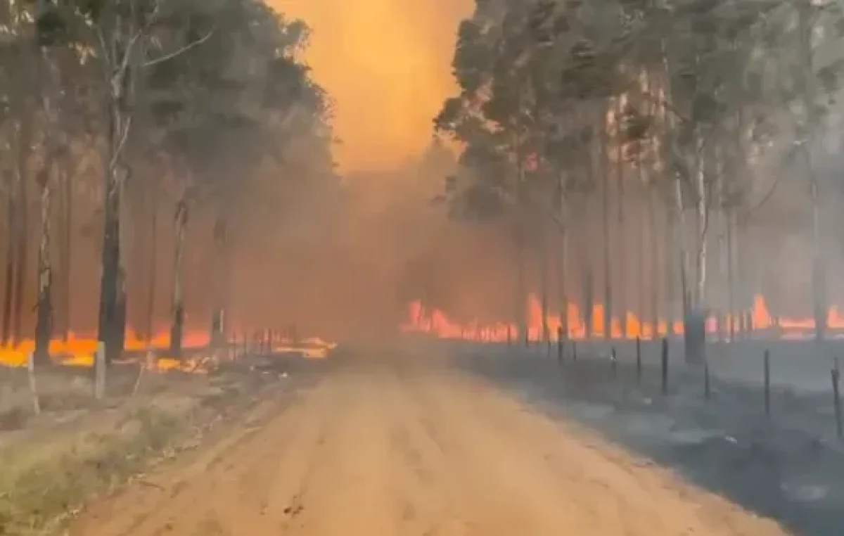 En Corrientes, los incendios rurales ya afectan a 519 mil hectáreas