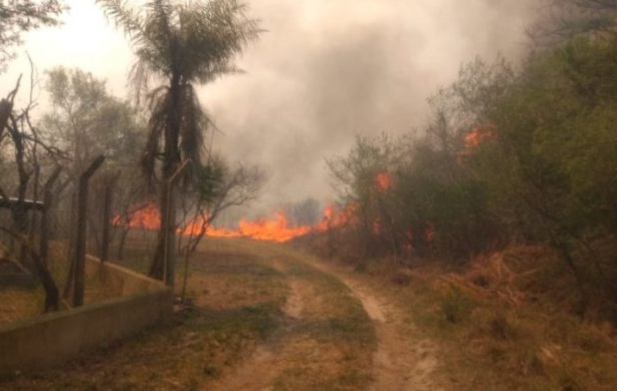 Con la ayuda de Ambiente, continúa el combate a las llamas en Corrientes