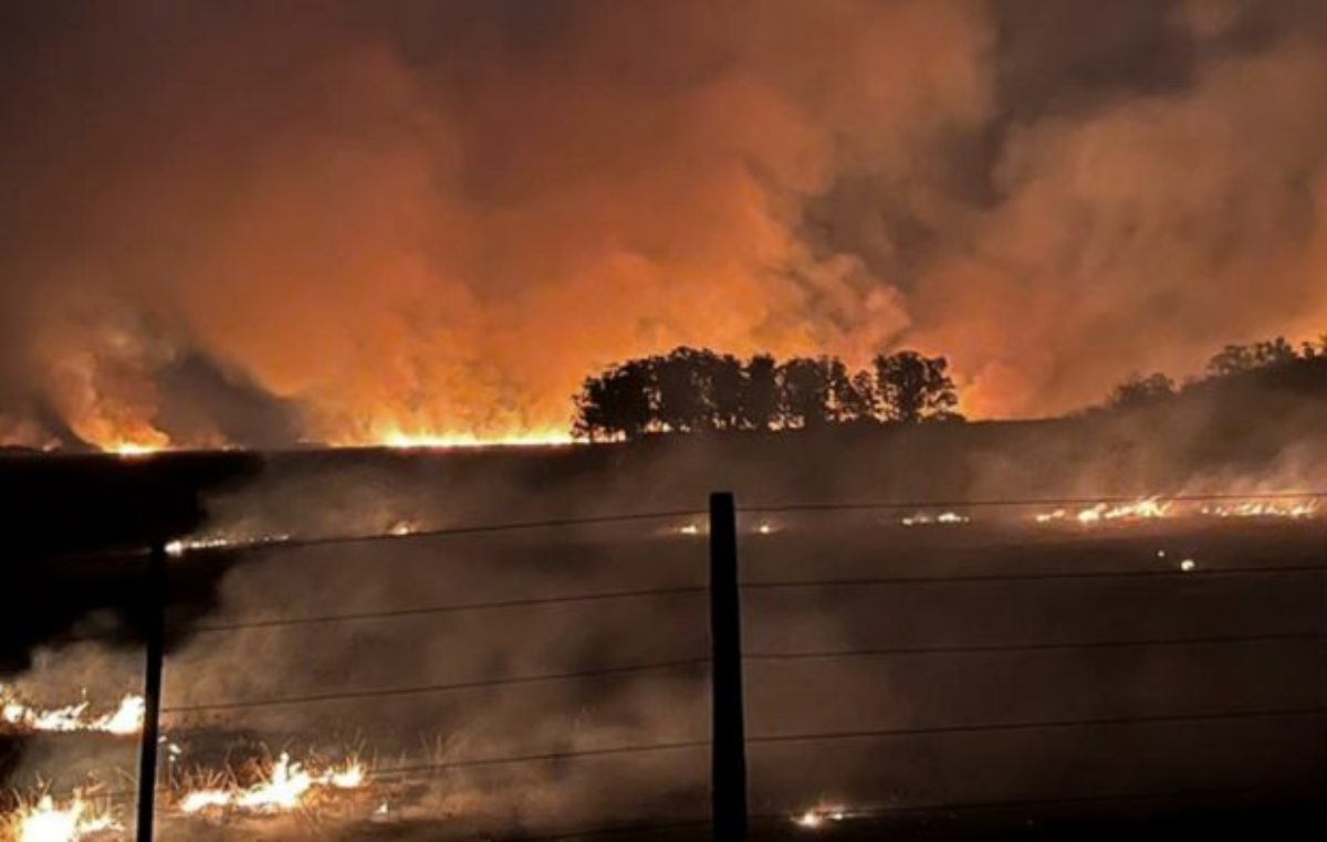 En Corrientes se quemaron 5 de los 10 portales del Iberá