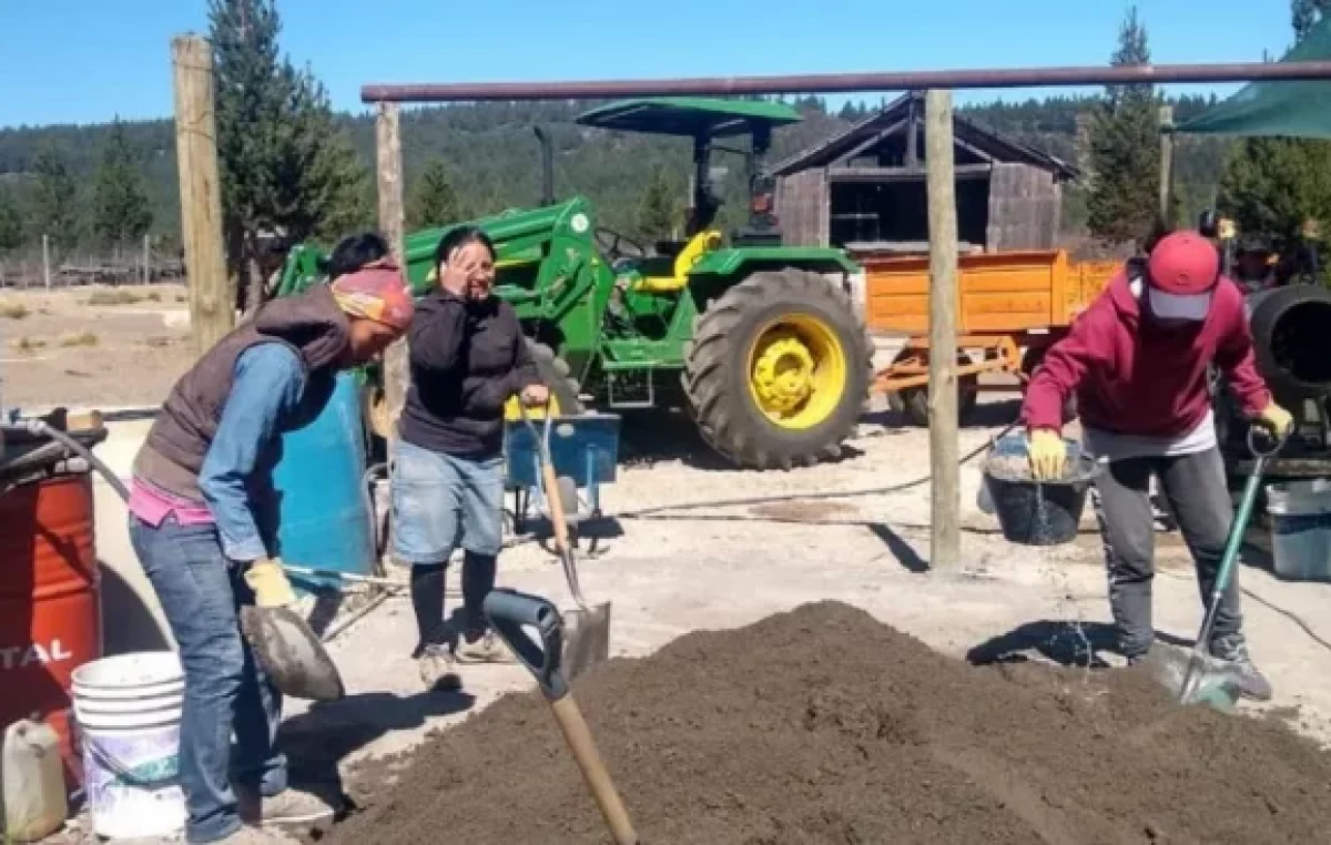 Neuquén: Con cemento y chicharrón, jóvenes mapuches construirán sus propias viviendas