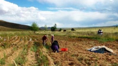 Jujuy: Reconocen 23 mil hectáreas para la agricultura familiar
