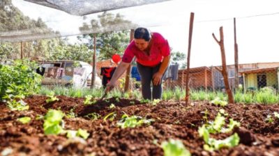 En Paraná promueven el desarrollo de huertas familiares