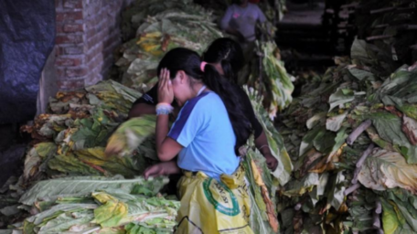 La protección social como una herramienta clave para erradicar el trabajo infantil