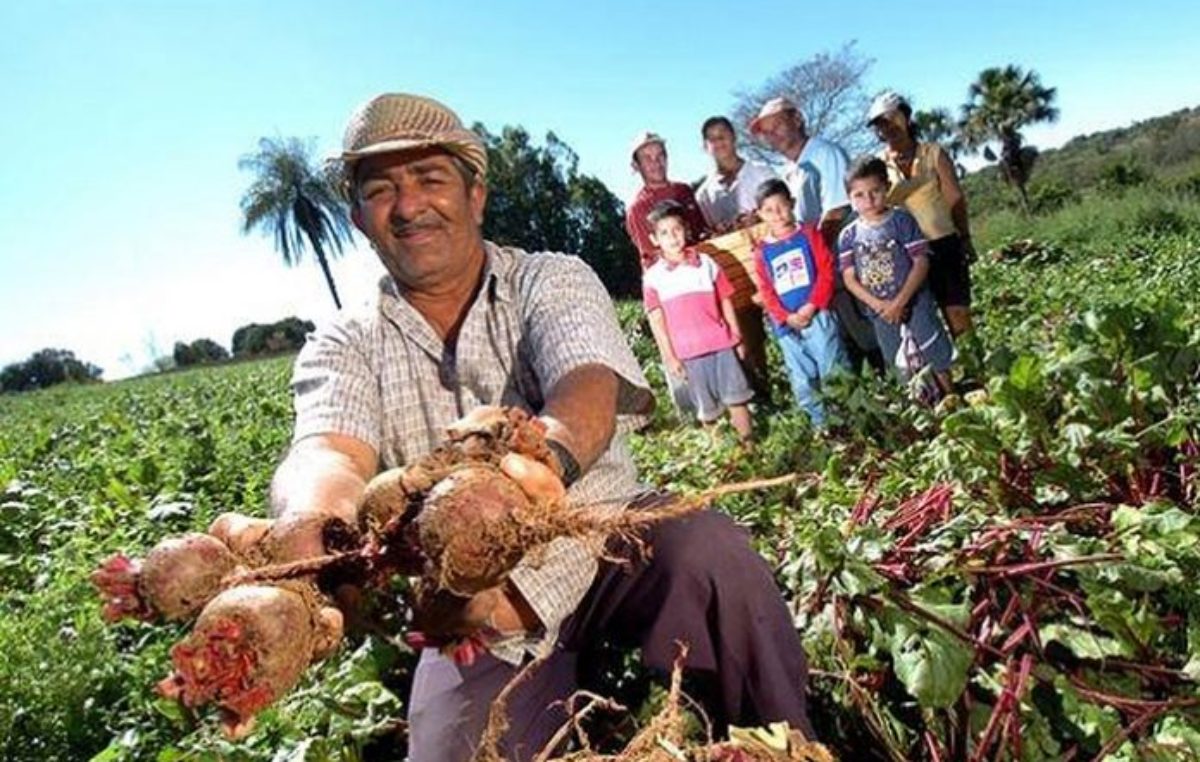 Fernández anunció una partida de U$S100 millones para promover la agricultura familiar