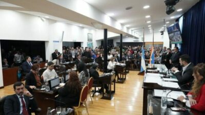 Carta Orgánica Ushuaia: Convencionales definirán hoy el reglamento interno