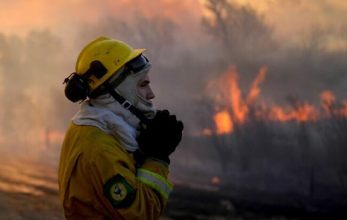 Cómo luchan contra los incendios en el Delta del Paraná brigadistas, bomberos y militares