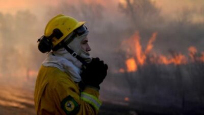 Cómo luchan contra los incendios en el Delta del Paraná brigadistas, bomberos y militares