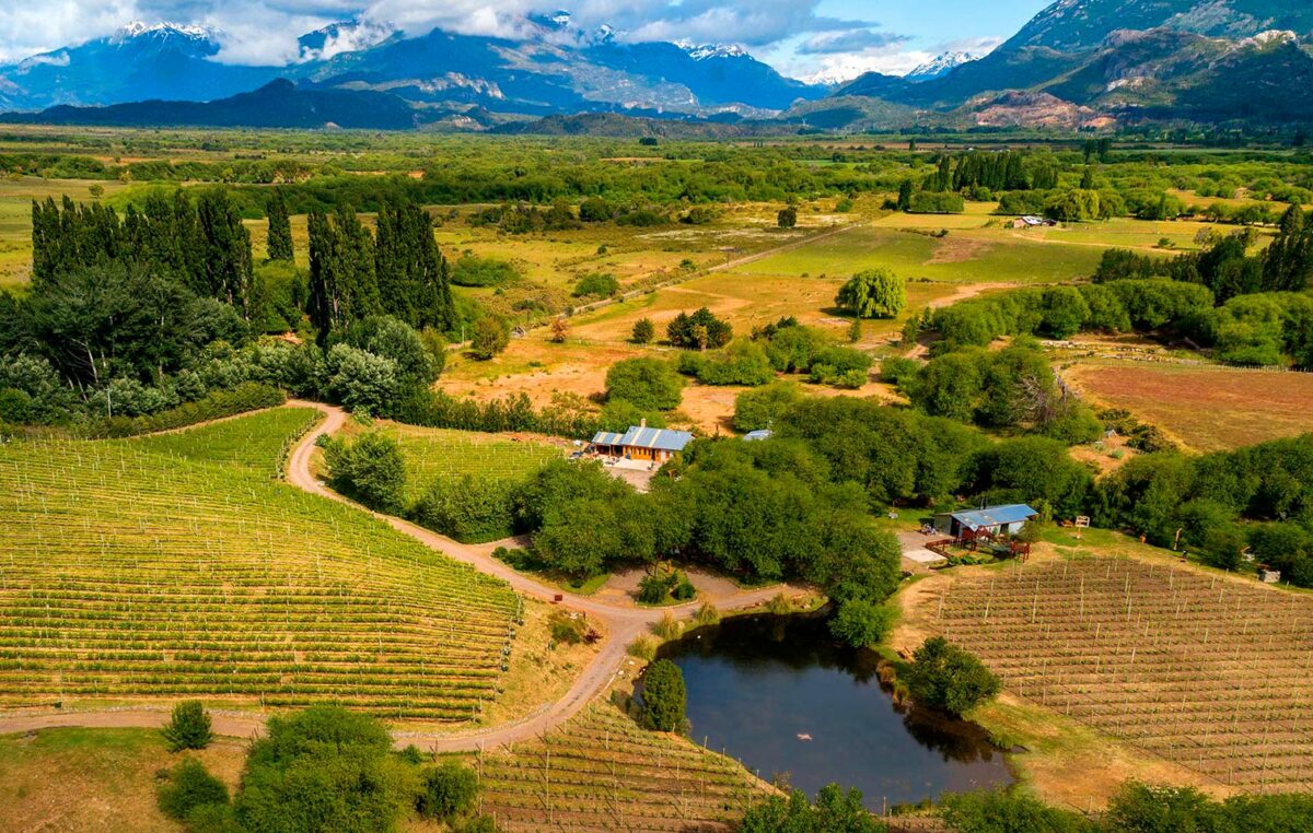 Los paisajes más sorprendentes para detenerse en esta ruta del vino de la Patagonia