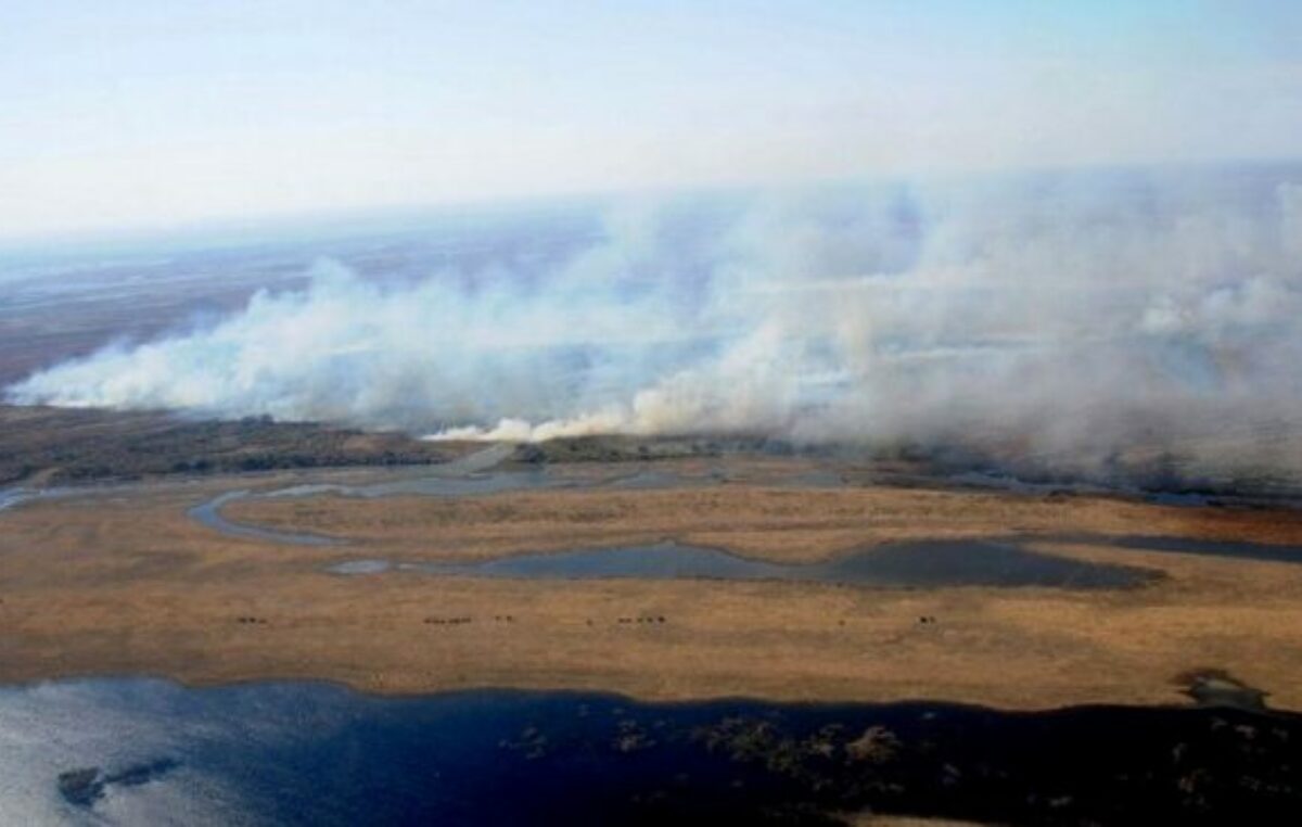 Los incendios no ceden en el delta del río Paraná y Rosario amaneció invadida de humo