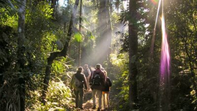 Las rutas de Misiones, entre selva exuberante, cursos de agua y animales salvajes
