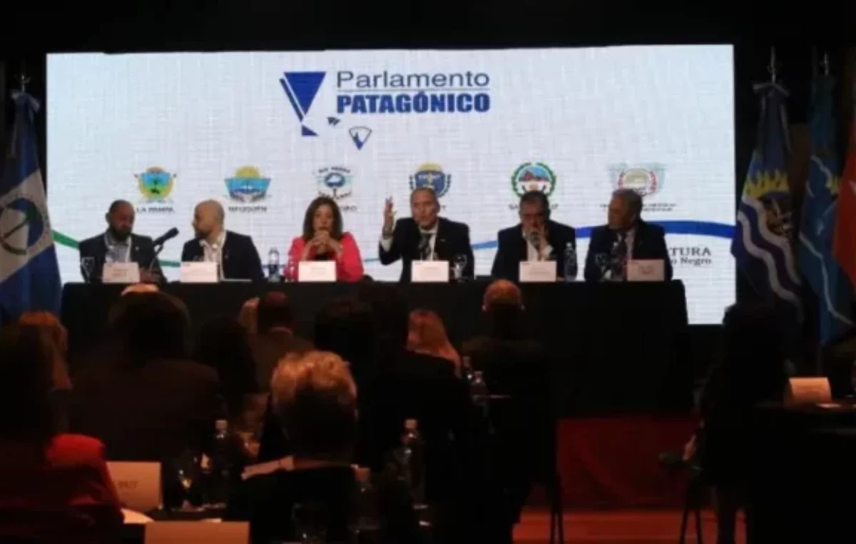 Energía y federalismo, temas del Parlamento Patagónico