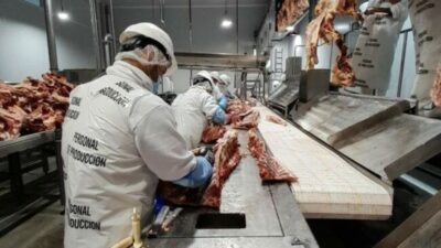 Fray Luis Beltrán: “Santa Fe Más” se consolida como una oportunidad para que los jóvenes ingresen al mundo laboral