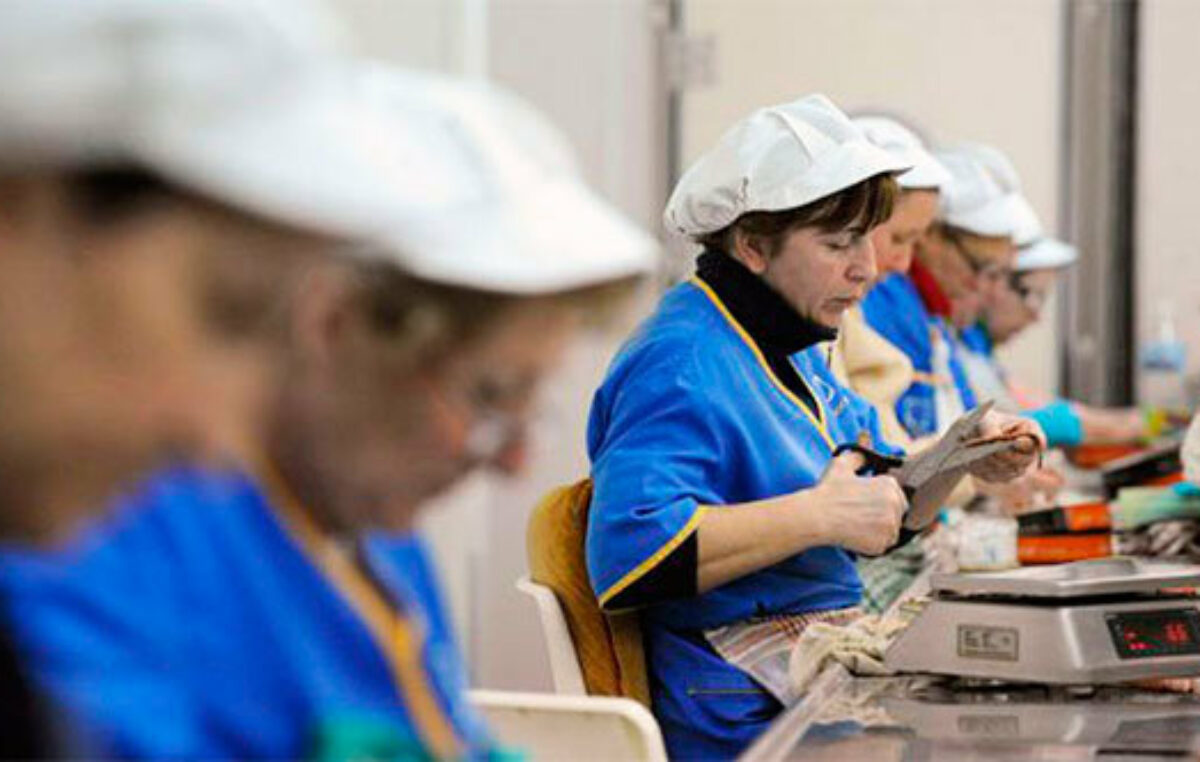 Las mujeres cobran menos y padecen más la informalidad laboral en Neuquén
