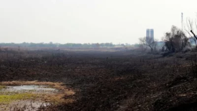 «Encontramos un humedal convertido en desierto», advirtió una bióloga que recorrió el área quemada