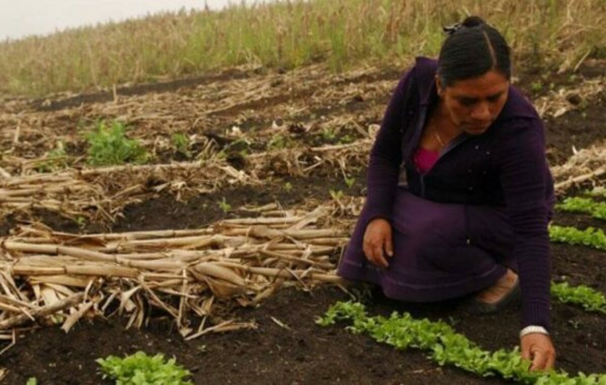 Comienza el encuentro de mujeres rurales «por una Justicia climática»